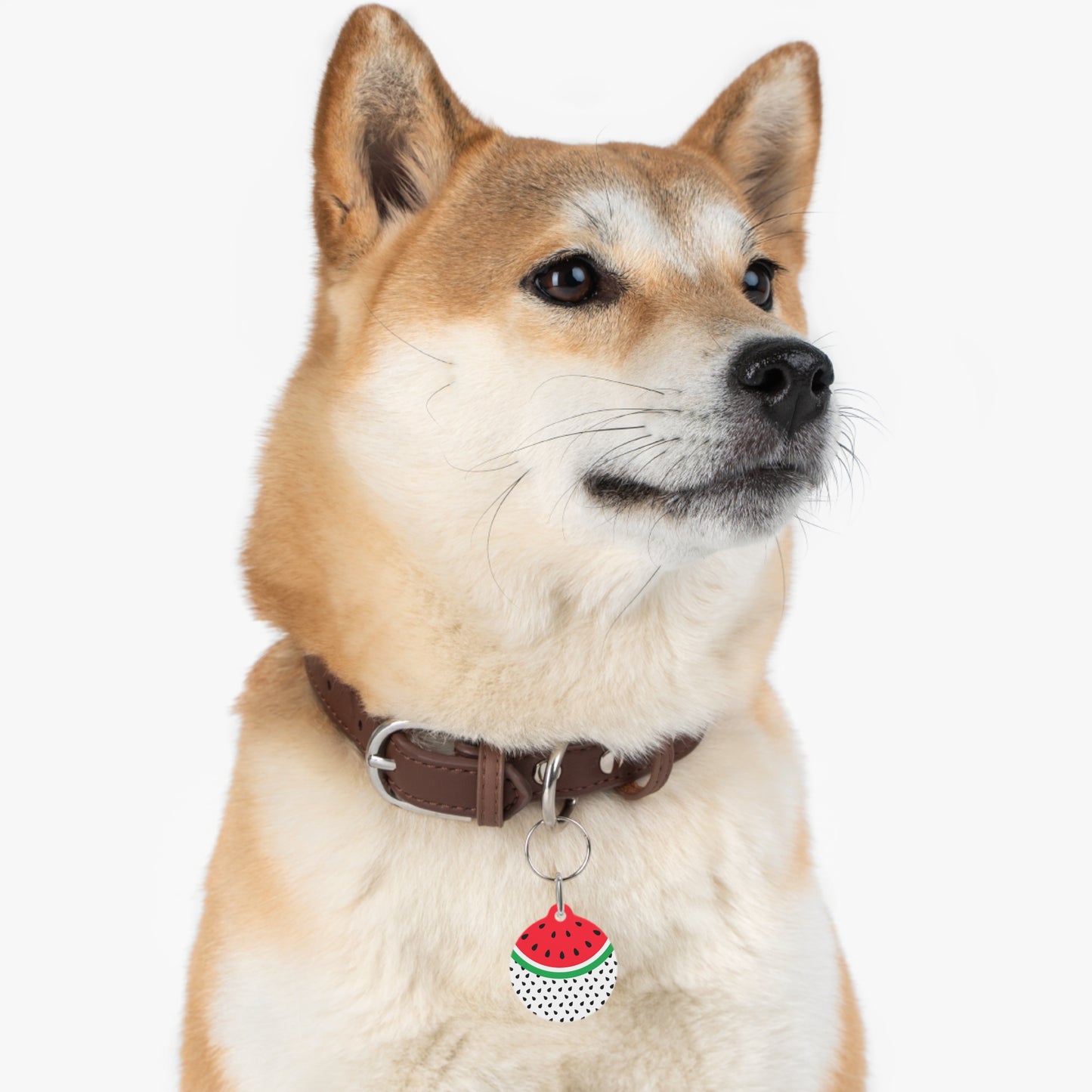 Watermelon Pet Tag, Personalized Cat/Dog Tag, Cat/Dog ID Tag, Unique Pet Accessory, Pet Gift Idea, Stylish Pet ID