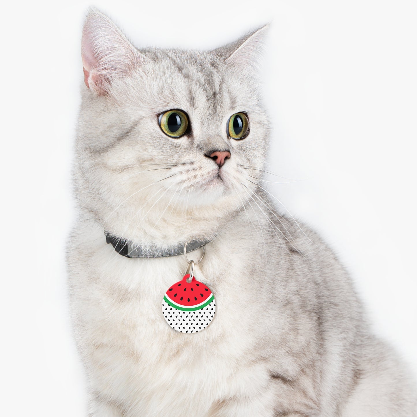 Watermelon Pet Tag, Personalized Cat/Dog Tag, Cat/Dog ID Tag, Unique Pet Accessory, Pet Gift Idea, Stylish Pet ID