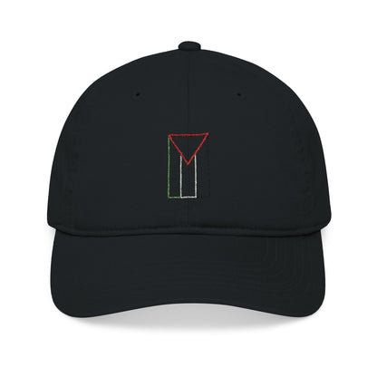 Palestine flag Embroidered Cap
