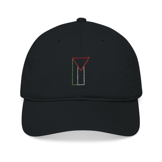 Palestine flag Embroidered Cap